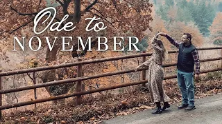 Why I love November 🤎 Peak of Autumn colours in Somerset, Autumn aesthetic slow living silent Vlog