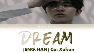 [HAN/ENG] 蔡徐坤 Cai Xukun - 梦 (Dream) 歌词版 Lyric Video