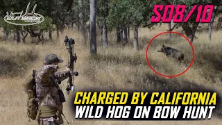 Charged By California Wild Hog On Bowhunt S08/E10