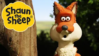 Cock-A-Doodle Shaun | Shaun the Sheep | S2 Full Episodes