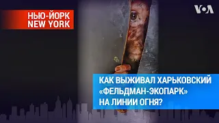 Зоопарк на линии огня: как выживали люди и животные в Харьковском «Фельдман-экопарке»