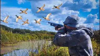 DUCK HUNTING. How I closed the 2023 duck hunting season