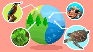 Hábitats naturales y ecosistemas - Recopilación - Ciencias para niños