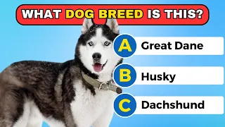 Guess The Dog Breeds Quiz