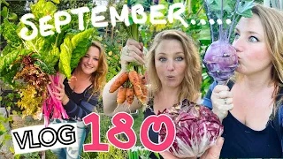 Last days of Summer? September Sowing and Harvesting in the Vegetable Garden. Ep 180 || Plot 37
