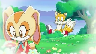 Tails and Cream Love Story