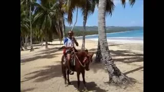 La Playa, Fausto Papetti, by Prince of roses