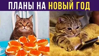 Приколы. Планы на Новый год | Мемозг #163