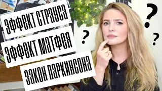 3 Удивительные Явления (Эффект Страуса, Эффект Матфея, Закон Паркинсона)