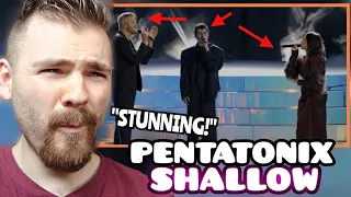 First Time Hearing PENTATONIX "Shallow" | Hollywood Bowl 2022 | REACTION!