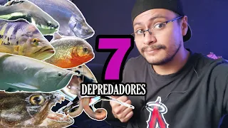 TOP 7 peces DEPREDADORES FÁCILES de cuidar