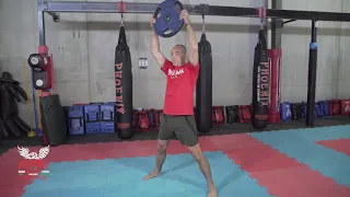 Plate Swing