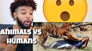 ANIMALS VS HUMANS COMPILATION!!! | Reaction