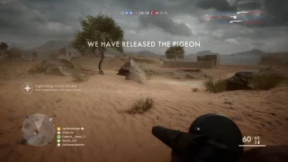 100+ Kills War Pigeons (BF1)