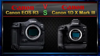 Canon R3 VS Canon 1D X Mark III Comparison Video (Spec Comparison)