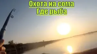 Какой СЕКРЕТ в ЛОВЛЕ СОМА?!ЧТО не ТАК?