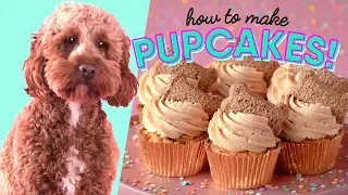 PUPCAKES! Cupcakes For Your Pet!- The Scran Line