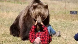 Unbelievable Bear Attacks And Interactions Caught On Camera - Part 1