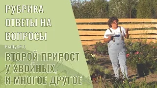 Ответы на вопросы Выпуск 11