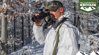 Hunting huge red deer in the snows of Poland