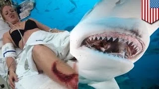 Fort Lauderdale shark attack: Jessica Vaughn bitten swimming in Intracoastal Waterway