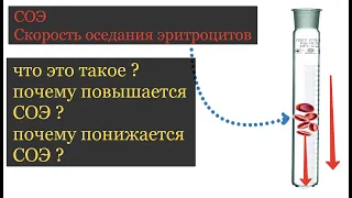 повышено СОЭ в крови что это значит ?