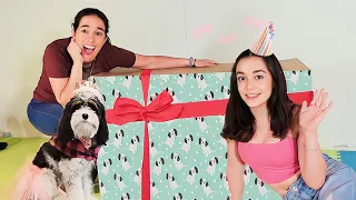 LIZZIE FAZ 1: ROTINA DA TARDE NO ANIVERSÁRIO DA NOSSA CACHORRINHA! 🎁🐶🎉