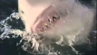 bikiyukilikiname Shark Attack 3 Megalodon