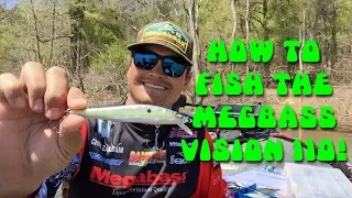 How to fish the Megabass Vision 110 jerkbait