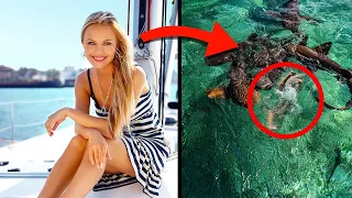 10 Of The WORST Shark Attacks!