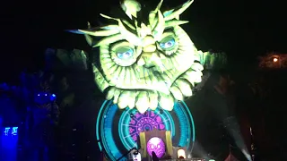 Archives: Tiësto EDC ORLANDO 2015 show me live edit.