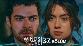 Rüzgarlı Tepe 37. Bölüm | Winds of Love Episode 37