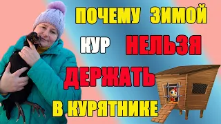 Почему зимой кур НЕЛЬЗЯ держать в курятнике.