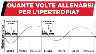 Quante volte allenarsi per la massa muscolare?