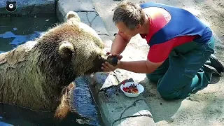 Завтрак в бассейн🐻🌊