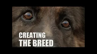 'Creating The Breed' - 'The Breed' (2006) making-of featurette.