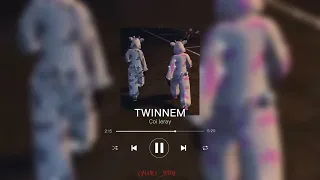 TWINNEM -Coi leray- (Sped up)