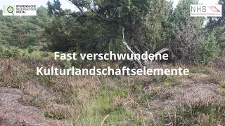 Fast verschwundene Kulturlandschaftselemente in der Heide bei Hermannsburg, Teil 1