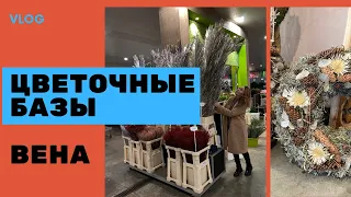 Цветочные базы в Вене// все для флористов