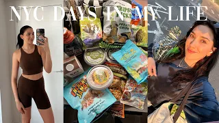 VLOG: HUGE trader joes haul (mostly snacks lol), appointments, packing + reading!