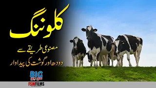 What is Cloning? | How China Cloned Super Cows? | Is Cloned Meat Safe? | Umar Warraich