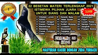 Masteran Burung Kacer Full Isian Tembakan Mewah Lengkap - Masteran Kacer Juara Nasional 2021