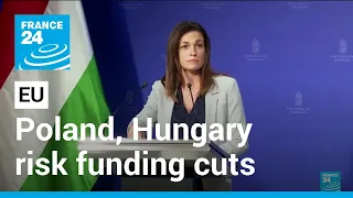 Poland, Hungary risk funding cuts after EU rule-of-law decision • FRANCE 24 English