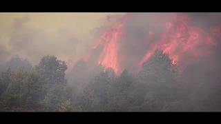 Підсумкове відео гасіння лісових пожеж на території країни