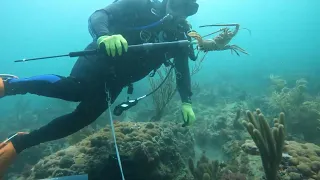 South Florida spiny Lobster Hunt - part 3