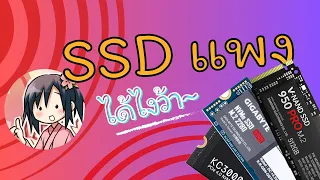 ทำไม ssd แพงจังว้า~