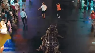 A tsunami broke out, and a giant crocodile dived into the water to start hunting!