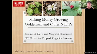 Goldenseal and Other NTFPs