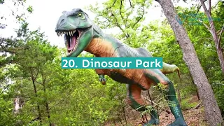 31 Fun Things to Do in Austin with Kids