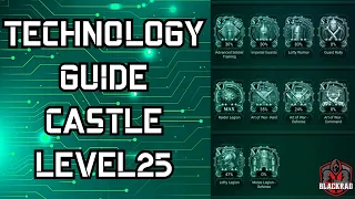 What stats are important ? +25 castles tech guide - Rise of Empires Ice and Fire